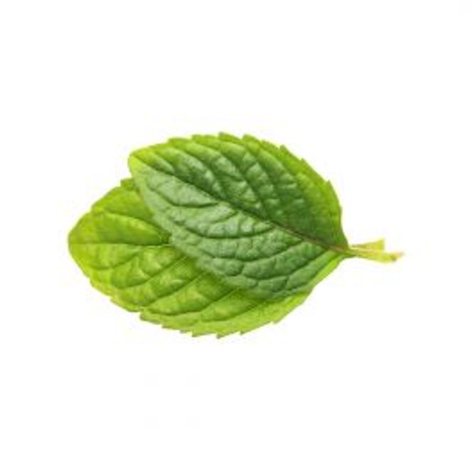 Hovedbilde Spearmint - CAP Series