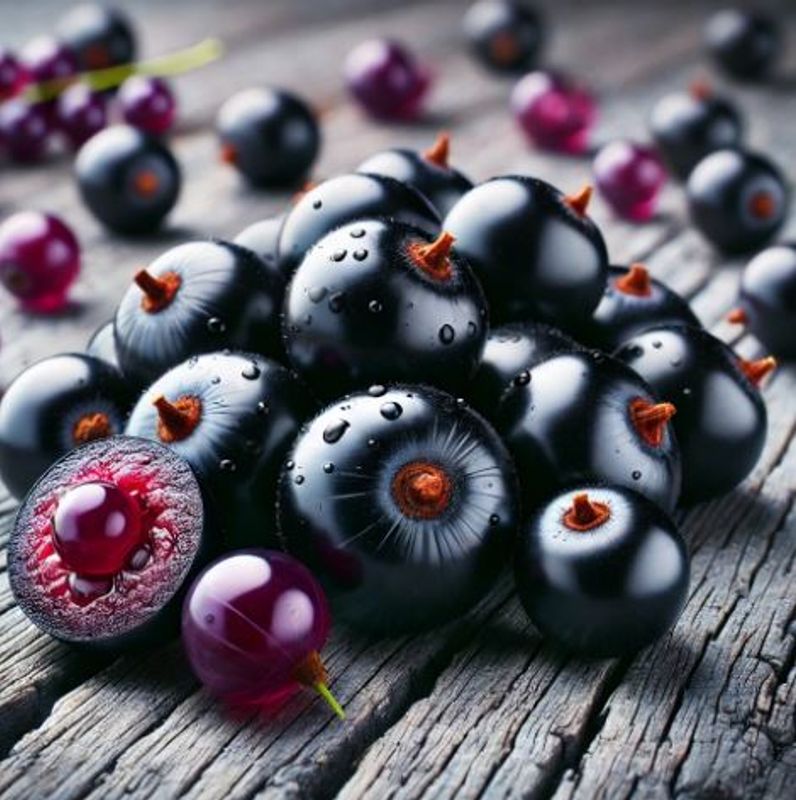 SolubArome - Blackcurrant